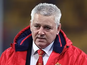 Gatland admits sin bin for ...