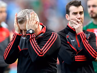 "Sport is cruel" - Ste...