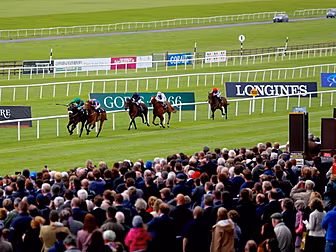 Strong entries for Longines Ir...