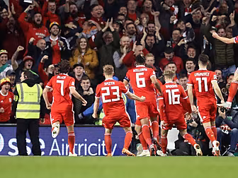 Lacklustre Ireland lose to Wal...