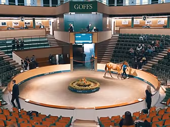 WATCH | The 3.2 million Euro h...
