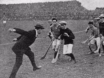 Hurling given special status b...