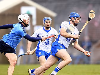 GALLERY: Dublin hurlers throug...