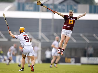 GALLERY: Galway and Offaly avo...