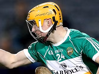 Daithí Regan: "One swallow...