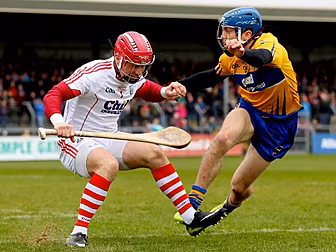 A Great Year in Prospect for C...