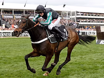 Nicky Henderson To Make Decisi...