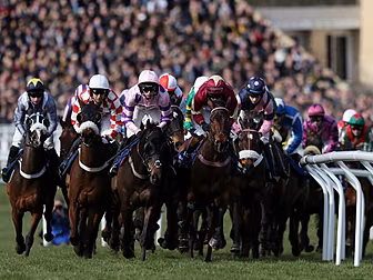 AP McCoy's Cheltenham tips...
