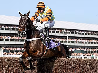 John Duggan's Cheltenham C...