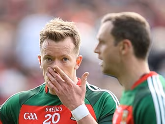 Stephen Rochford: "Everybo...