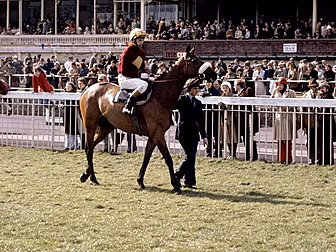 John Duggan's Grand Nation...