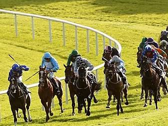 Galway Plate takes centre stag...