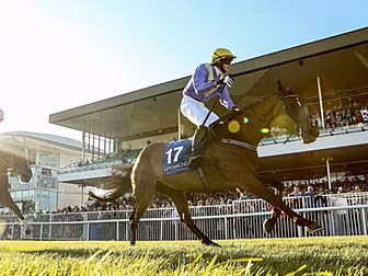 GALWAY RACES DAY 2 - Tips and...
