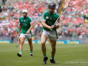 Limerick "well equipped...