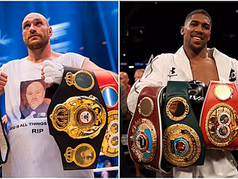 Andy Lee: 'I think Fury would...