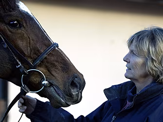 Watching Guineas meetings at h...
