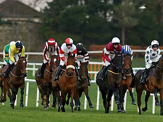 British horses banned from rac...
