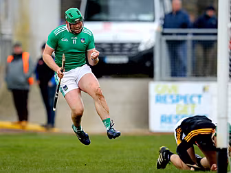 OTB AM | Limerick skin Cats, E...