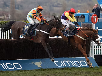 Cheltenham Festival - What are...