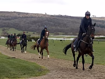 Cheltenham Day One, Rice's Par...