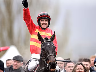 Cheltenham tips | Comprehensiv...