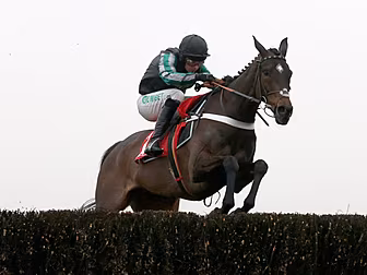The Cheltenham Show | Day 2