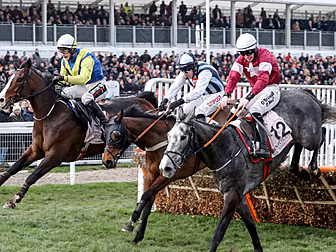 Cheltenham tips | Comprehensiv...