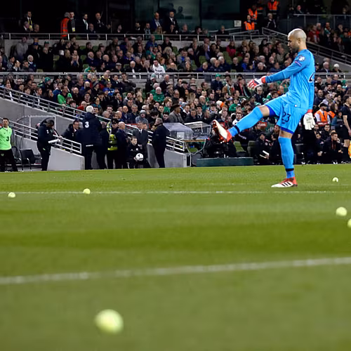 GALLERY: Ireland fans protest...