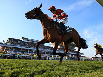 Tiger Roll 'well placed' to go...