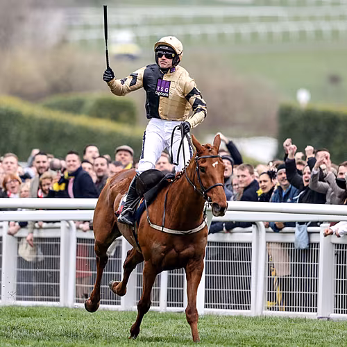 GALLERY: Ruby Walsh's greatest...