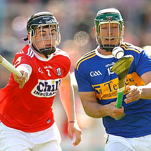 Nicky English and Tommy Walsh...