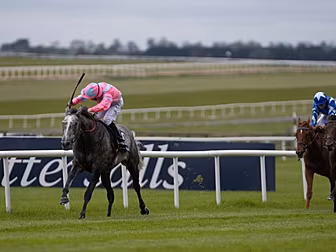 Royal Ascot on the cards for C...