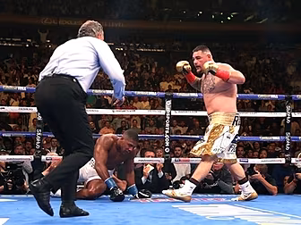 Anthony Joshua v Andy Ruiz Jr...
