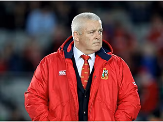 'Warren could have Joe Schmidt...