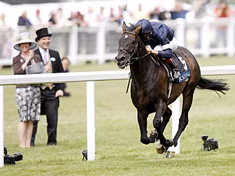 Who to look out for at Royal A...