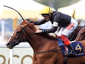 Frankie Dettori on fire again...