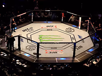 UFC welcome France's legalisat...