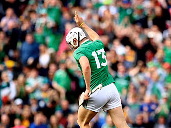 Limerick have doubts over Gill...