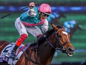 Enable is on track for the Ecl...