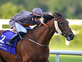 Off the Ball will have a horse...