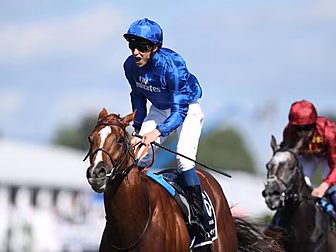 Derby winner Masar retired to...
