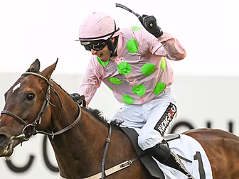 John Duggan's Galway Races Tue...