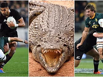 'One's a crocodile and one's a...