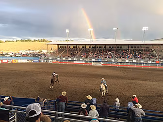 First impressions from Rodeo's...