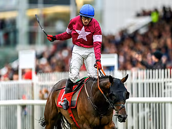 John Duggan's Galway Races Wed...