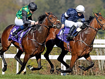 Melbourne Cup winner Rekindlin...