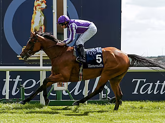 O'Brien announces plans for hi...