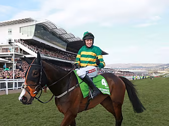 Cheltenham Champion Hurdle win...