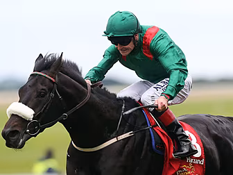 Pat Smullen withdraws from Cha...