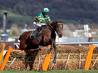 Champion Hurdle winner Espoir...